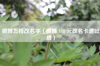 微博怎样改名字（微博 118 元改名卡遭吐槽）