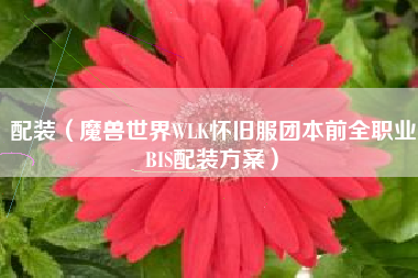 配装（魔兽世界WLK怀旧服团本前全职业BIS配装方案）