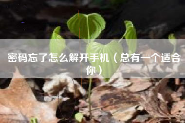密码忘了怎么解开手机（总有一个适合你）