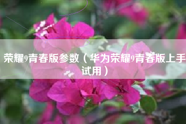 荣耀9青春版参数（华为荣耀9青春版上手试用）