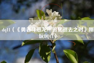 dq11（《勇者斗恶龙11 追忆逝去之时》刚玩DQ11）