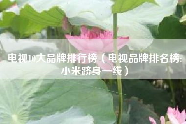 电视10大品牌排行榜（电视品牌排名榜:小米跻身一线）