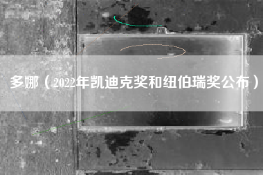 多娜（2022年凯迪克奖和纽伯瑞奖公布）