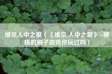 维京人中之狼（《维京:人中之狼》--硬核的刷子游戏你玩过吗）