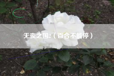 无夜之国2（百合不能停）