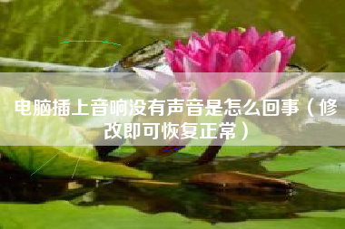 电脑插上音响没有声音是怎么回事（修改即可恢复正常）