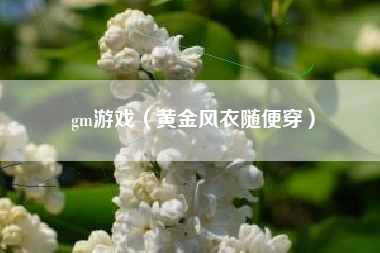 gm游戏（黄金风衣随便穿）