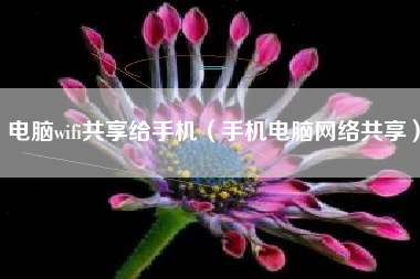电脑wifi共享给手机（手机电脑网络共享）