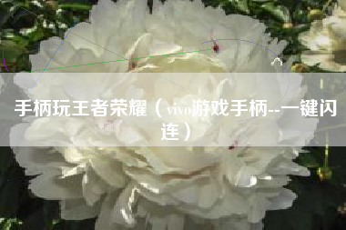 手柄玩王者荣耀（vivo游戏手柄--一键闪连）