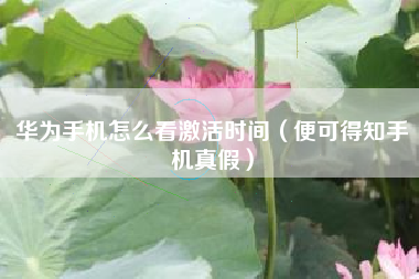 华为手机怎么看激活时间（便可得知手机真假）
