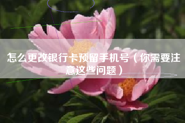 怎么更改银行卡预留手机号（你需要注意这些问题）