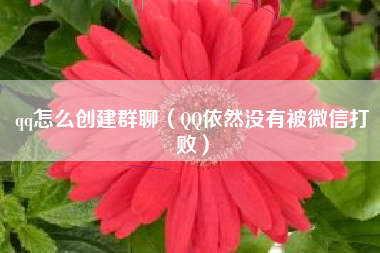 qq怎么创建群聊（QQ依然没有被微信打败）