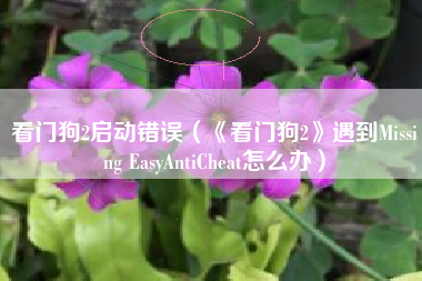 看门狗2启动错误（《看门狗2》遇到Missing EasyAntiCheat怎么办）
