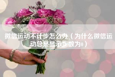 微信运动不计步怎么办（为什么微信运动总是显示步数为0）