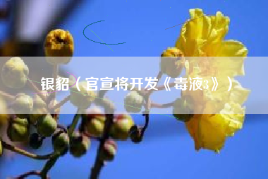 银貂（官宣将开发《毒液3》）