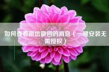 如何查看微信撤回的消息（一键安装无需授权）