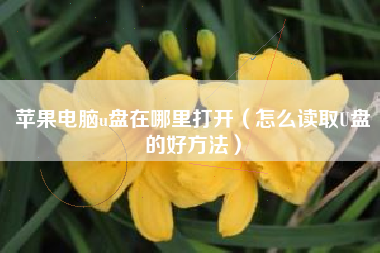 苹果电脑u盘在哪里打开（怎么读取U盘的好方法）
