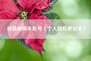 抖音解绑手机号（个人隐私更安全）
