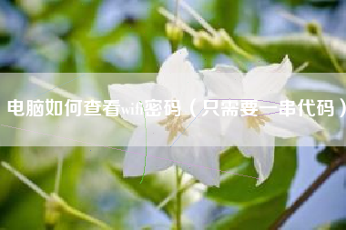 电脑如何查看wifi密码（只需要一串代码）