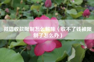 微信收款限制怎么解除（收不了钱被限制了怎么办）