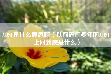 ADSL是什么意思啊（以前流行多年的ADSL上网到底是什么）
