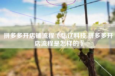拼多多开店铺流程（弘辽科技:拼多多开店流程是怎样的）