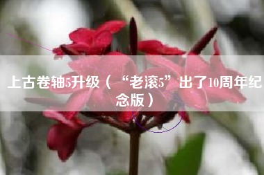 上古卷轴5升级（“老滚5”出了10周年纪念版）
