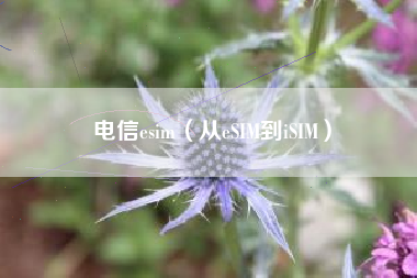 电信esim（从eSIM到iSIM）
