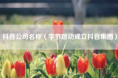 抖音公司名称（字节跳动成立抖音集团）
