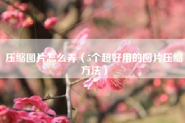 压缩图片怎么弄（5个超好用的图片压缩方法）