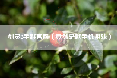 剑灵2手游官网（竟然是款手机游戏）