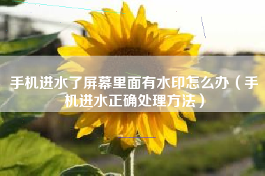 手机进水了屏幕里面有水印怎么办（手机进水正确处理方法）