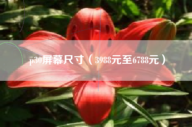 p30屏幕尺寸（3988元至6788元）