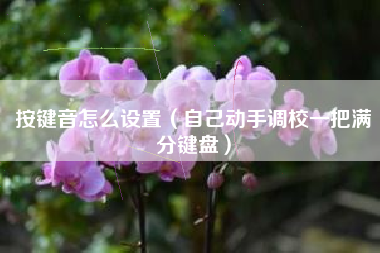 按键音怎么设置（自己动手调校一把满分键盘）