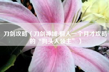 刀剑攻略（刀剑神域:桐人一个月才攻略的“狗头人领主”）