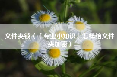 文件夹锁（「专业小知识」怎样给文件夹加密）