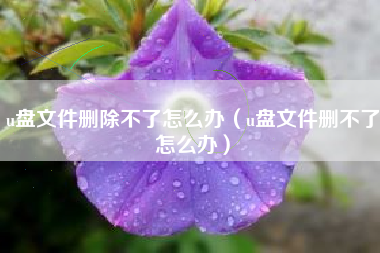 u盘文件删除不了怎么办（u盘文件删不了怎么办）