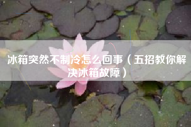 冰箱突然不制冷怎么回事（五招教你解决冰箱故障）