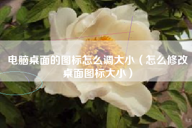 电脑桌面的图标怎么调大小（怎么修改桌面图标大小）