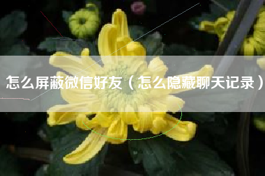 怎么屏蔽微信好友（怎么隐藏聊天记录）