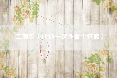 二刺猿（让你一次性看个过瘾）