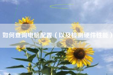 如何查询电脑配置（以及检测硬件性能）