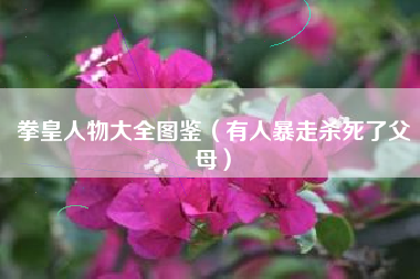 拳皇人物大全图鉴（有人暴走杀死了父母）