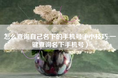 怎么查询自己名下的手机号（小技巧:一键查询名下手机号）