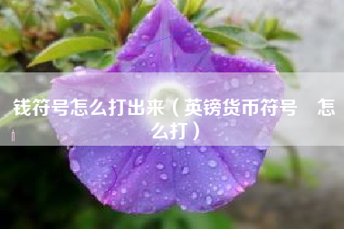 钱符号怎么打出来（英镑货币符号£怎么打）