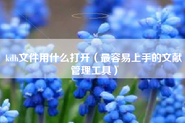 kdh文件用什么打开（最容易上手的文献管理工具）