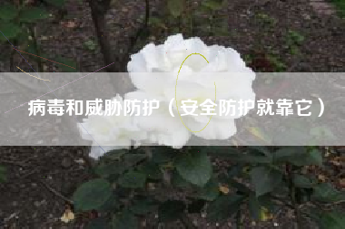 病毒和威胁防护（安全防护就靠它）