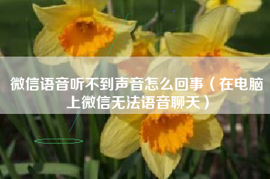 微信语音听不到声音怎么回事（在电脑上微信无法语音聊天）