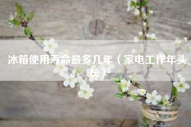 冰箱使用寿命最多几年（家电工作年头长）
