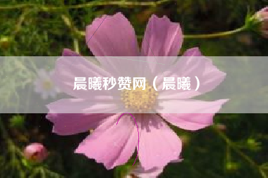晨曦秒赞网（晨曦）
